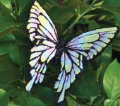 Трафарет для 3D ручки – бабочка